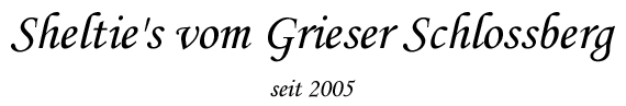 Überschrift Shelties vom Grieser Schlossberg.